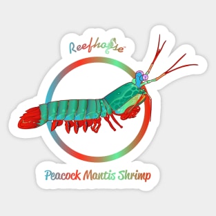 Peacock Mantis Shrimp Sticker